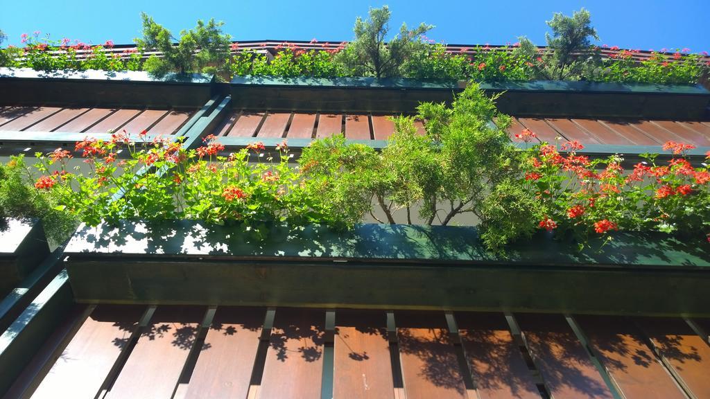 La Felce Bed & Breakfast Carisolo Exterior photo