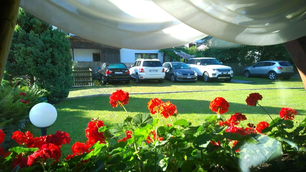 La Felce Bed & Breakfast Carisolo Exterior photo